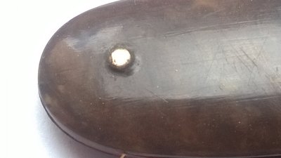 WP_20180615_006.jpg