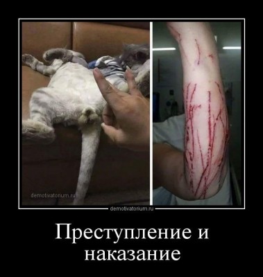 IMG_1587.JPG (74.71 КБ) 13587 просмотров IMG_1587.JPG