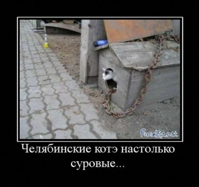 IMG_1598.JPG (91.56 КБ) 13039 просмотров IMG_1598.JPG