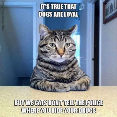 CF25F8F4-9C5C-4703-86F3-95AA12B12D57.jpeg (85.19 КБ) 12905 просмотров CF25F8F4-9C5C-4703-86F3-95AA12B12D57.jpeg