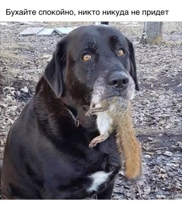 IMG-094fd2e6de5544532d30c18dfbd4a00c-V.jpg