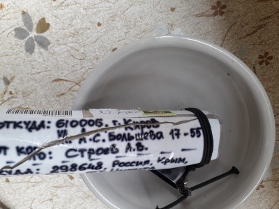 20190821_155723.jpg (4.36 МБ) 22035 просмотров 20190821_155723.jpg