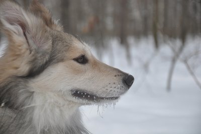 DSC_0051.JPG (255.25 КБ) 32079 просмотров DSC_0051.JPG