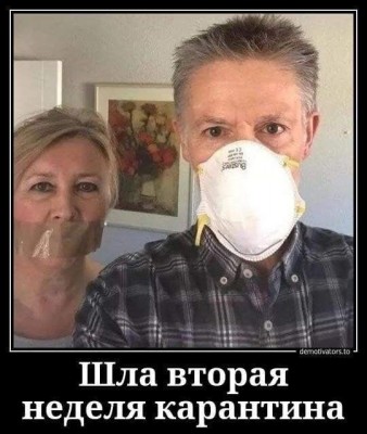 IMG_2172.JPG (87.67 КБ) 10146 просмотров IMG_2172.JPG