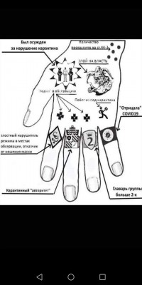 FB_IMG_1587157983439.jpg (54.45 КБ) 11075 просмотров FB_IMG_1587157983439.jpg