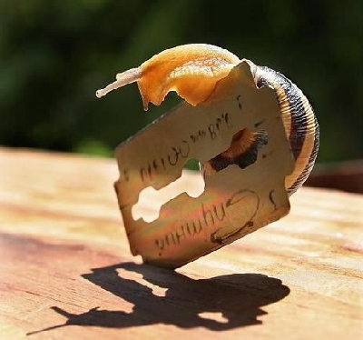 7114557.jpg (98.57 КБ) 27660 просмотров 7114557.jpg