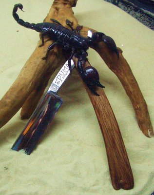 CIMG821.jpg (230.44 КБ) 22336 просмотров CIMG821.jpg