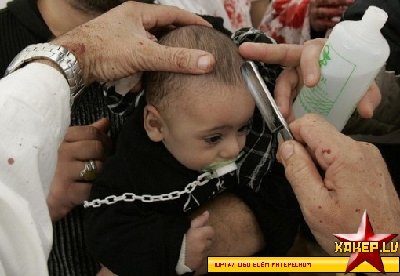 1212694770_20080121162746518_9.jpg (131.08 КБ) 19315 просмотров 1212694770_20080121162746518_9.jpg