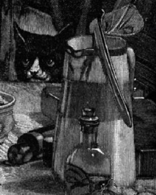 Bradobrei.732a.Singe.WilliamTrood.jpg