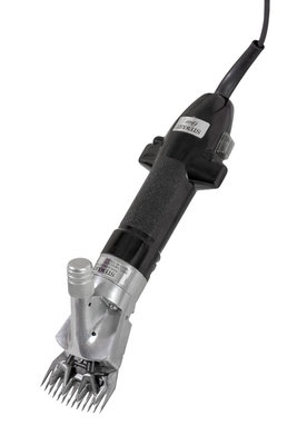Oster-1_enl.jpg