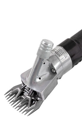 Oster-2_enl.jpg