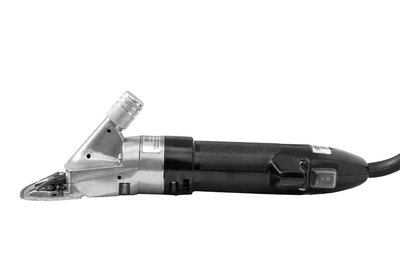 Oster-3_enl.jpg