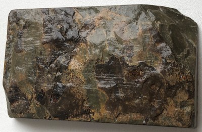 IMG_0539.jpg (2.24 МБ) 13541 просмотр IMG_0539.jpg