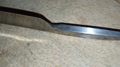 IMG_20250917_100108.jpg
