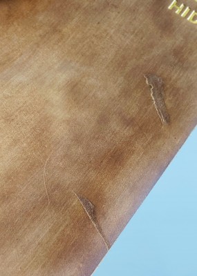 IMG_3788.jpg (1.51 МБ) 7525 просмотров IMG_3788.jpg