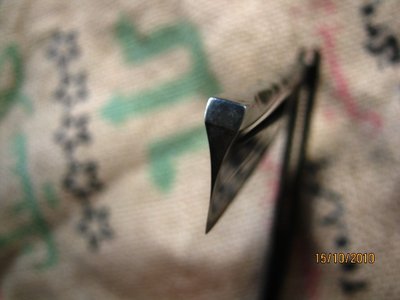 IMG_1899.JPG