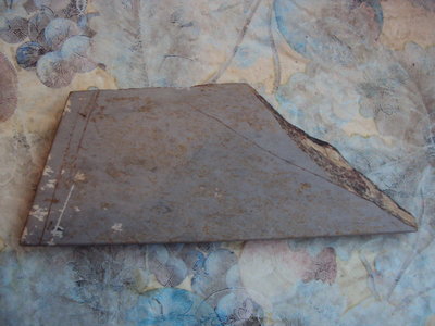 DSC01336.JPG