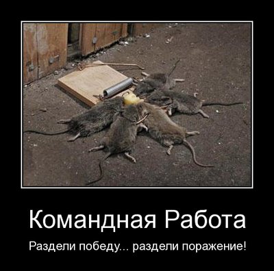 50-komandnaia_rabota_razdeli_pobedu_razdeli_porajenie.jpg