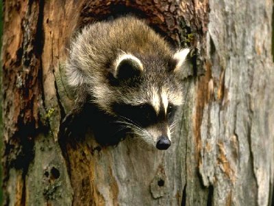 0133.jpg (107.58 КБ) 38047 просмотров 0133.jpg