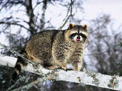 0486.jpg (213.42 КБ) 38052 просмотра 0486.jpg