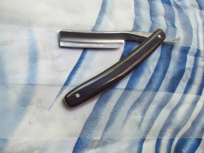 Resize of 100_9525.JPG