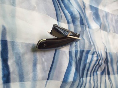 Resize of 100_9548.JPG