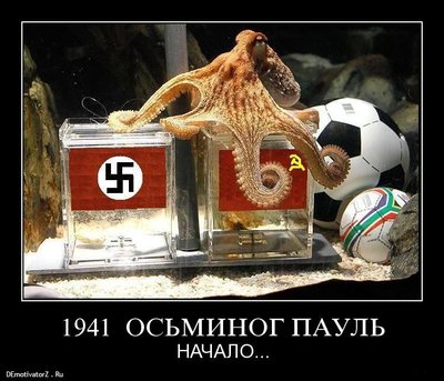 1941-osminog-paul_735_demotivatorz.ru.jpg