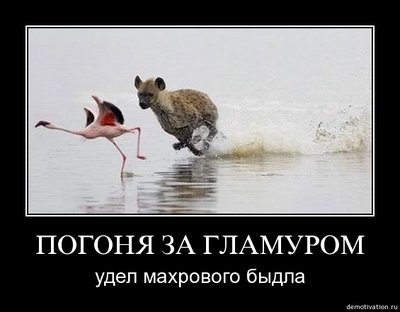 fl3gk1j27dx5.jpg