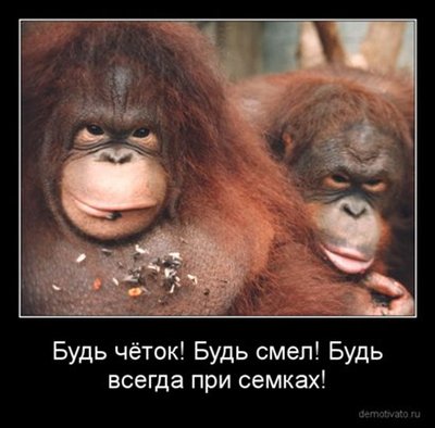 demotivator_1308466683.48_500.jpg
