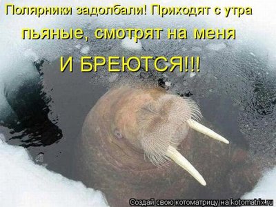 1329268418_kotomatrix_36.jpg