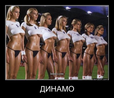 361866-dinamo.jpg