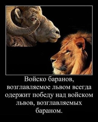 1294928250_voisko-baranov.jpg