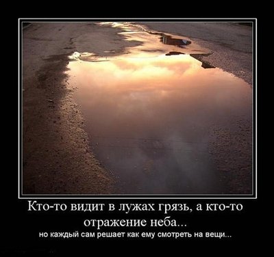 d076751ac3319d3746769f07883.jpg