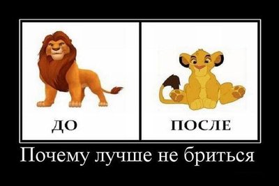 1314337560_00143.jpg