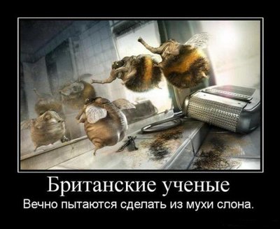 1325351934_1268902171_demotivator108t108.jpg