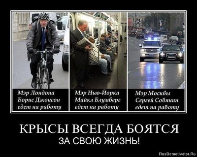 1332709641_ps0rqdozzhaw.jpg