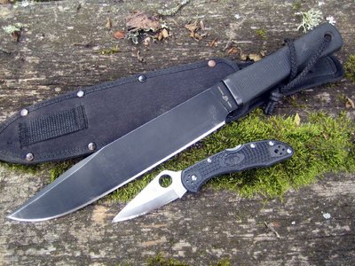 IMG_3188.JPG (150.79 КБ) 17360 просмотров IMG_3188.JPG