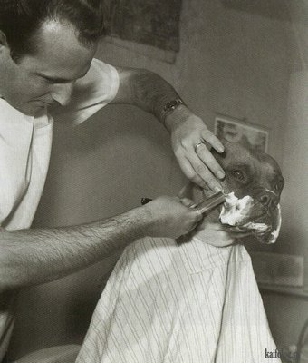 Gtc.jpg (206.99 КБ) 14308 просмотров Gtc.jpg