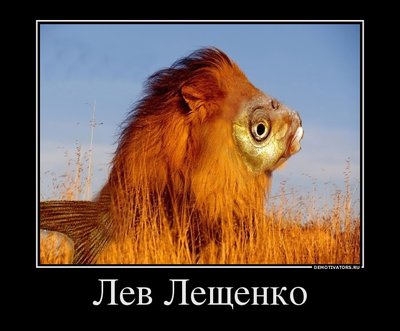90282179_lev-leschenko.jpg