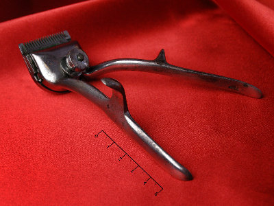 DSC_1496v.jpg (302.69 КБ) 46092 просмотра DSC_1496v.jpg