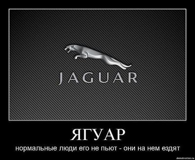 getImage (5).jpg