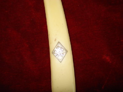 671127304_1.jpg