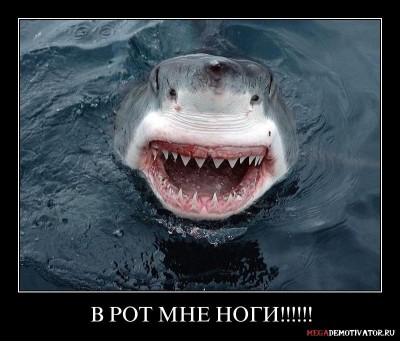 v-rot-mne-nogi_2.jpg