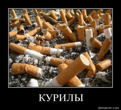 185296-kurily.jpg