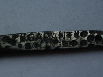 IMGP5380.JPG