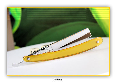 Gold_bug_04.jpg