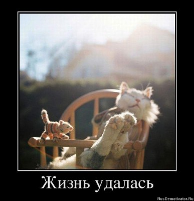 1323437016_74439_zhizn-udalas.jpg