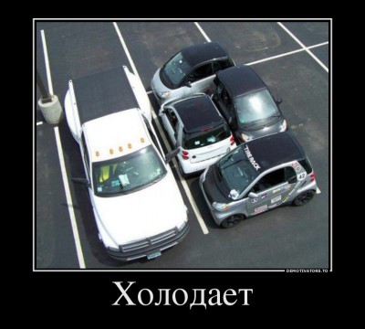 68262279_holodaet.jpg
