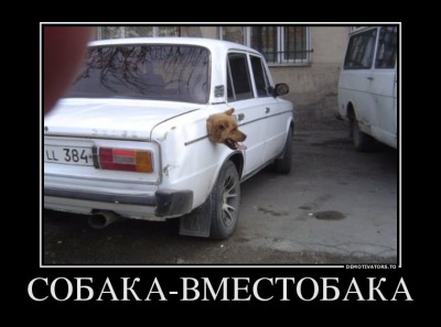 79929748_sobaka-vmestobaka.jpg