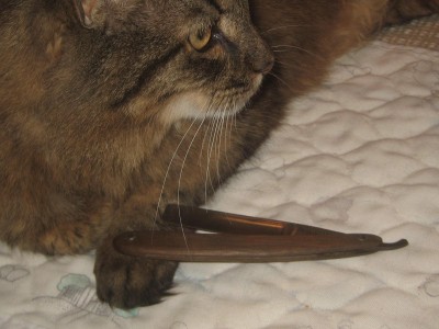 кот.jpg (231.34 КБ) 17285 просмотров кот.jpg